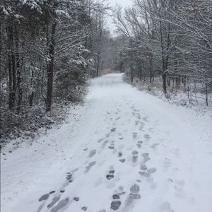 Meet your Posher, Albert